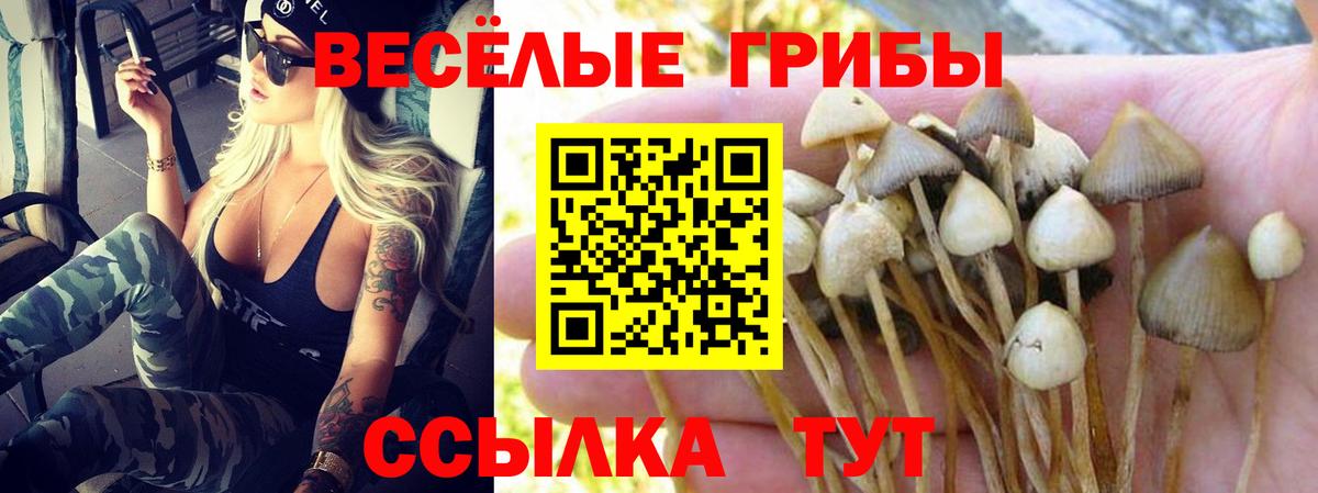 Екатеринбург  Псилоцибиновые грибы Magic Shrooms  Псилоцибиновые грибы мухоморы  Вход с VPN 